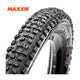Maxxis Tire 29 agresor