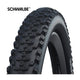 Schwalbe tire 24 smart sam