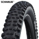 Banda plegable Schwalbe Hans DAMPF Performance 29 x 2.35 60-622 mm - Negro