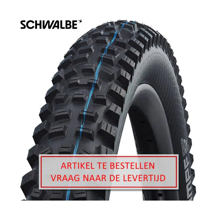 Schwalbe Tire Hans Dampf Evol.Line 70-584