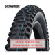 Schwalbe Tire Hans Dampf Evol.Line 70-584