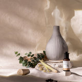 IPuro iPuro Air Aroma Vase Gray - afbeelding 2