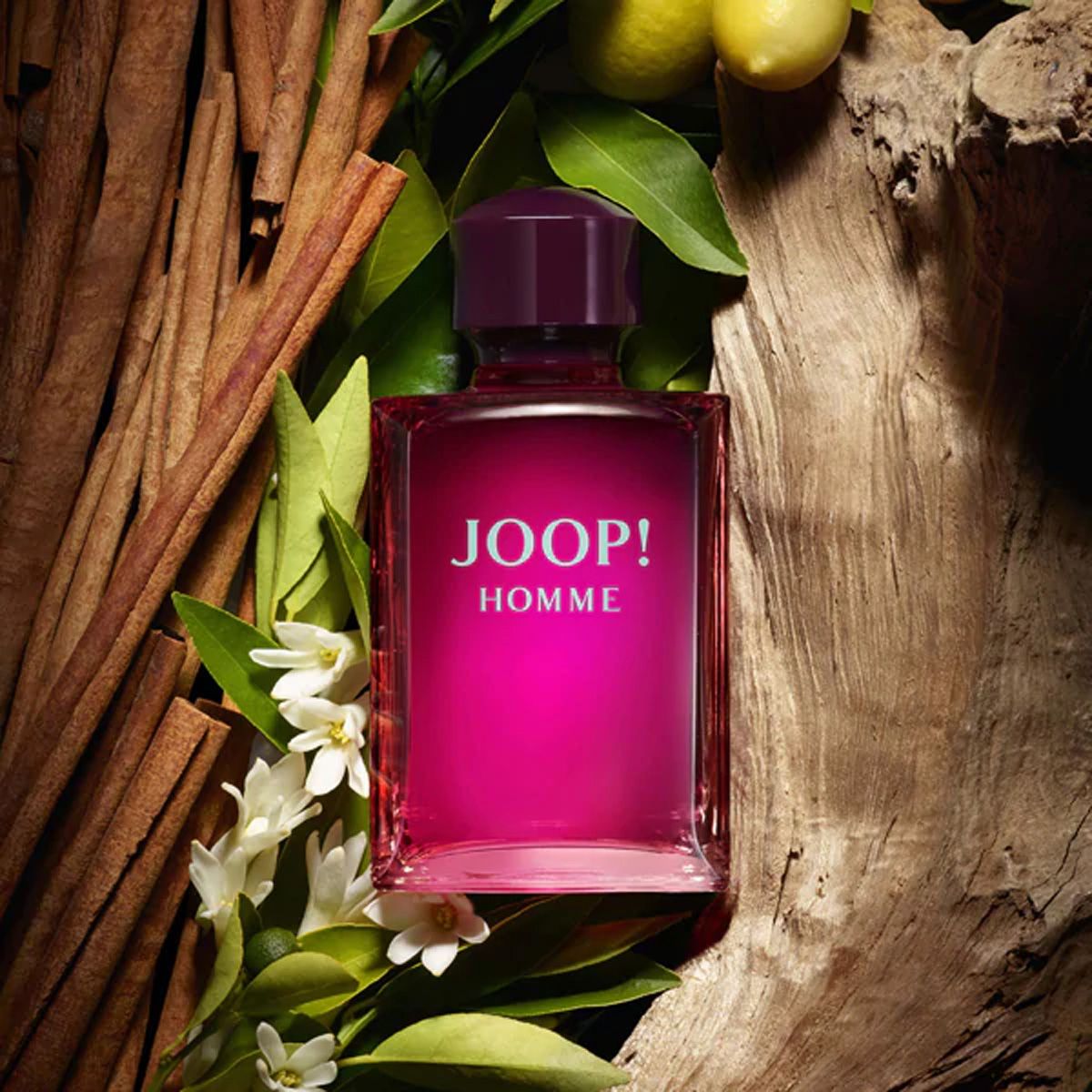 Joop! Joop homme eau de toilette spray 125ml uomini