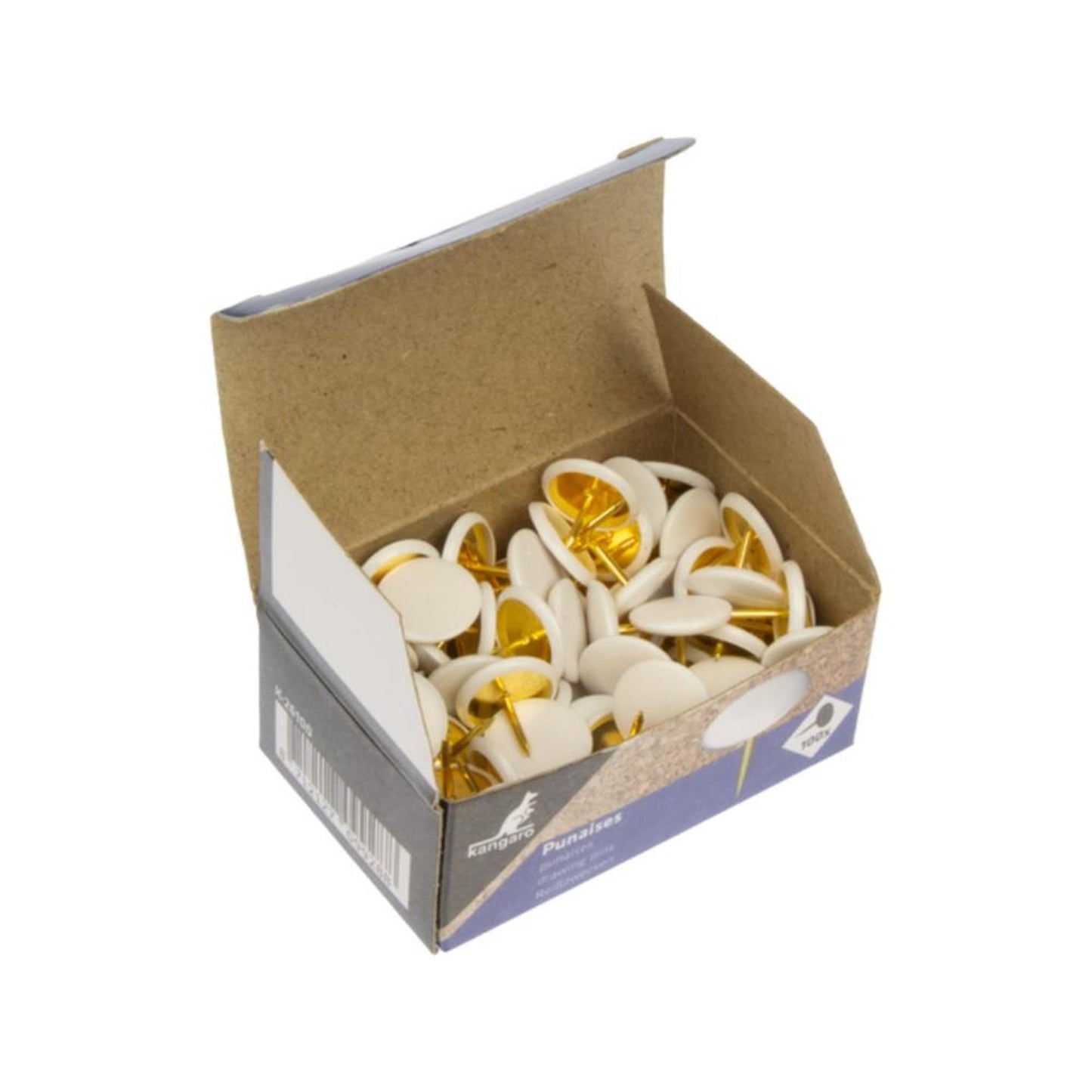 Chinchetas blancas caja de 100 piezas