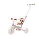 Little dutch driewieler met duwstang sunny flower