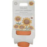 Piccolo girasole olandese in vaso - afbeelding 1
