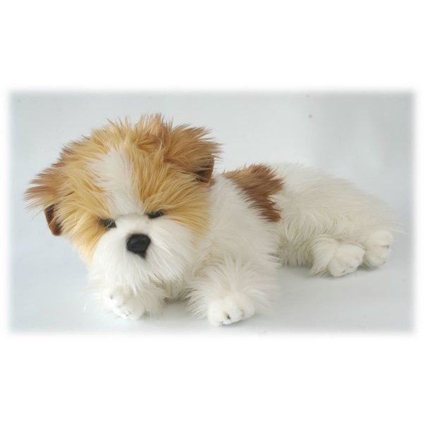 Mentito Terrier belga 40 cm