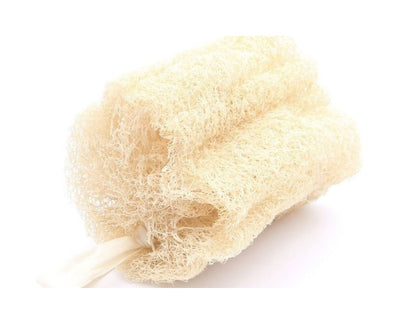 Esponja de eColuba Loofah - grande