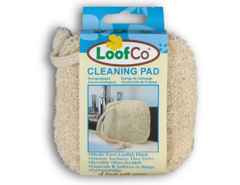 Spugna per la pulizia del loofco