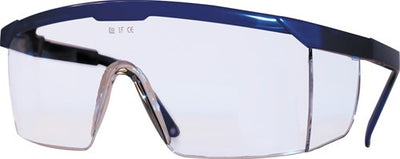 Vision 7000 safety glasses