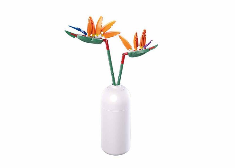 Strelitzia reginae aiton (m38-b1101-01)