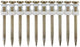 Accessori Makita chiodo per cemento gas blk lunghezza 20mm diametro 2,6mm - 196290-2