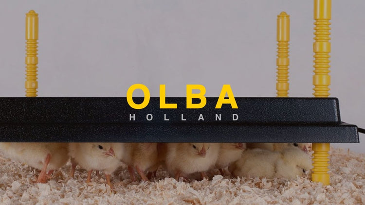 Olba producten warmteplaat voor kuikens 40x40cm 42watt