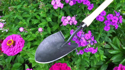 La pala americana blanca mango pomo fresno 48cm dewhite