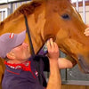 Heiniger producten scheermachine progress paard 2331tds
