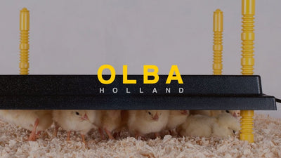 Olba producten warmteplaat voor kuikens 40x50cm 50watt