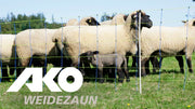 Ako replacement post for sheep net titan single pin 90cm - afbeelding 2
