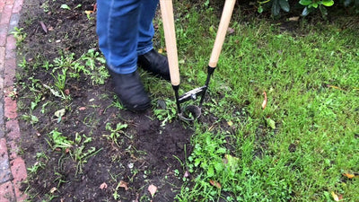 La fioriera a bulbo bianca con 2 steli di frassino 75 cm dewhite