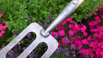 La forchetta midi bianca con frassino domestico e manico bianco