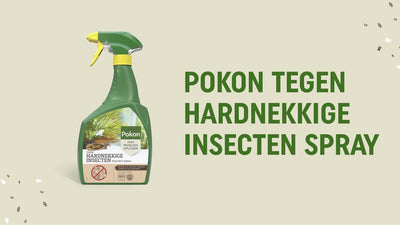 Pokon bio contra insectos de cuello duro spray 800ml spray polisect