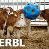 Producten voederspeel bal blauw