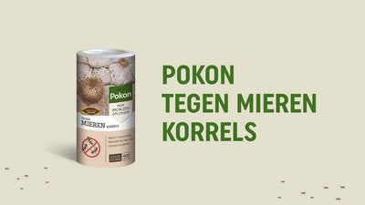 Pellet di formica Pokon 250gr