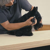 Moser Hair Clipper Rex 1230 Negro