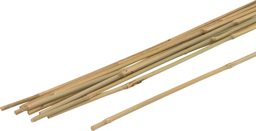 Bastoncini per piante Meister in bambù 75 cm (10 pz) - wu9966390