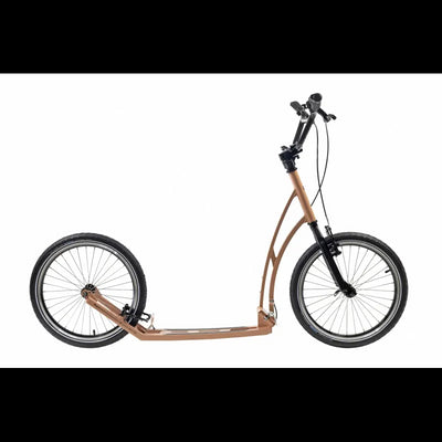 Mibo reale 20 20 salmone