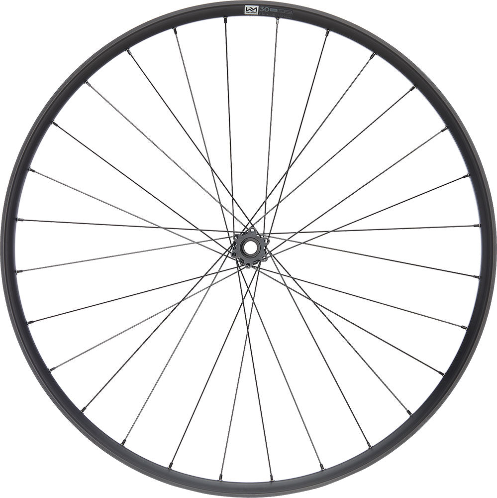 Ruota anteriore Newmen Performance 30 light 29 a 6 bulloni 15x110 sfumata