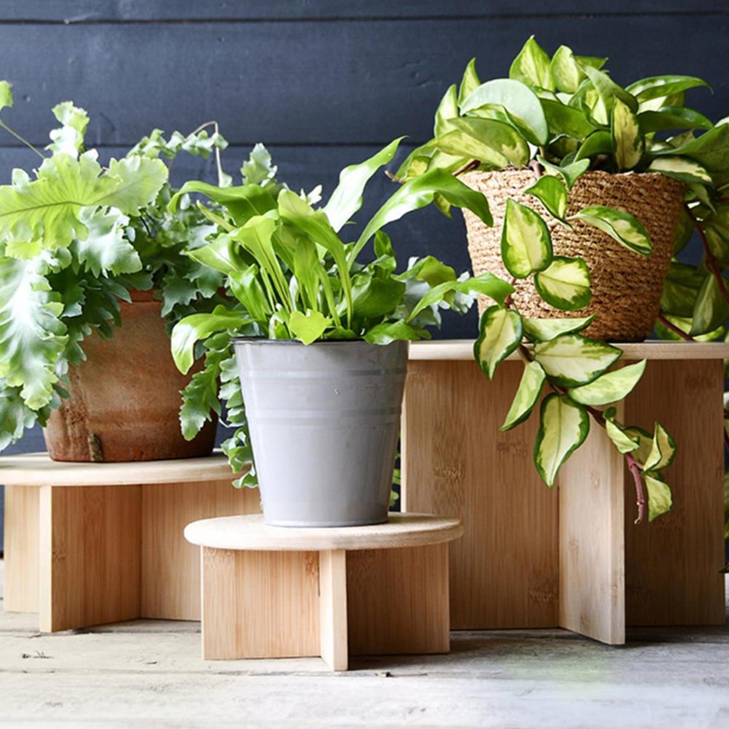 Esschert design plantentafeltje bamboe s
