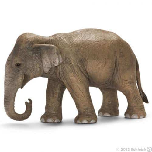 Schleich Wild Life Asian Elephant Female 14753