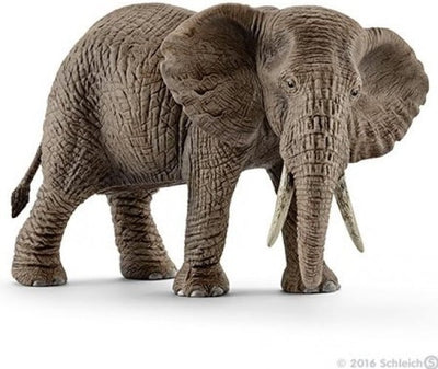 Schleich Vida salvaje Elefante africana Femenina 14761