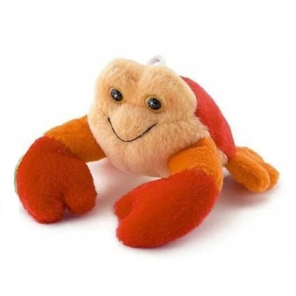 Granchio arancione 9 cm (collezione dolce)