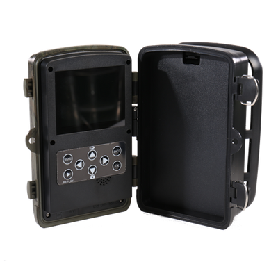 Visión nocturna de la cámara salvaje del club al aire libre