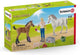 42486 veterinaria in visita e puledro