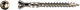Pgb-europe pfs+ | rvs hardhoutschroef vzk-t ø 5,00x50 c2 t-25 | 50 st - pfwhtgc00005000503