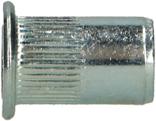 Pgb-europe pgb-fasteners | blindklinkmoer cilindr. kop m6x14,5 zn rivn12001006000143