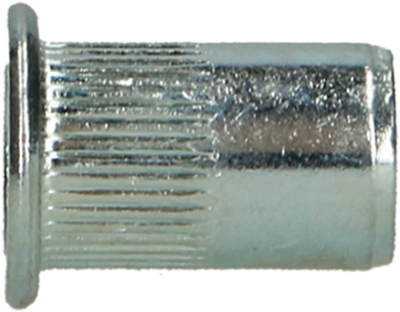 Pgb-europe pgb-fasteners | Dado per rivetto cieco cilindr. testa m6x14,5 zn rivn12001006000143