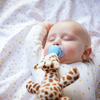 Ciuccio Philips Avent Ultra Soft Coccole