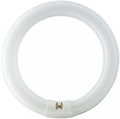 Philips ronde tl 40w 840 tle coolwhite 5900617
