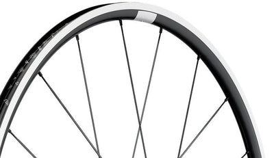 Ruota anteriore DT Swiss PR 1600 spline da 23 mm