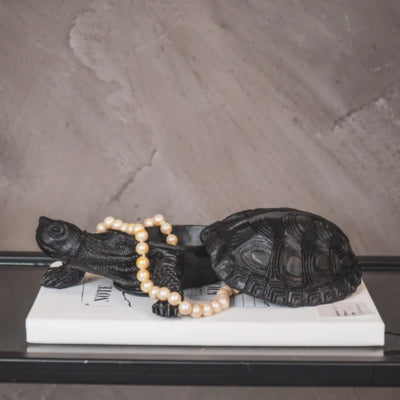 Housevitamin macetero tortuga negro 16 cm | 8 piezas