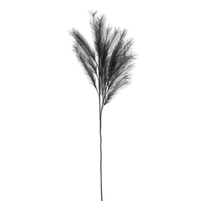 Daan kromhout hbx kunsttak pluim zwart 150 cm | 12 stuks