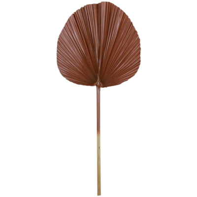 Plantae a foglia viva chiara marrone 87 cm | 12 pezzi