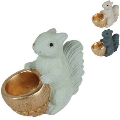 Daan benthout bowl jingle ardilla sentada 21 cm 3 surtidos | 12 piezas