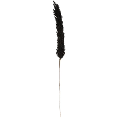 Countryfield kunsttak astilbe zwart 145 cm | 6 stuks