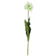 Countryfield fiore artificiale tulipano tulipa bianco 73 cm | 12 pezzi