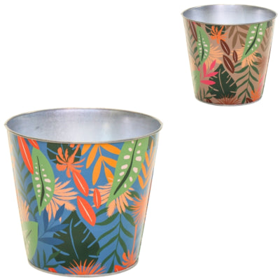 Maceta bob Jungle l 15 cm 2 surtidos | 12 piezas