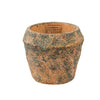 Ptmd bloempot lourdes geel groen 9 cm | 24 stuks